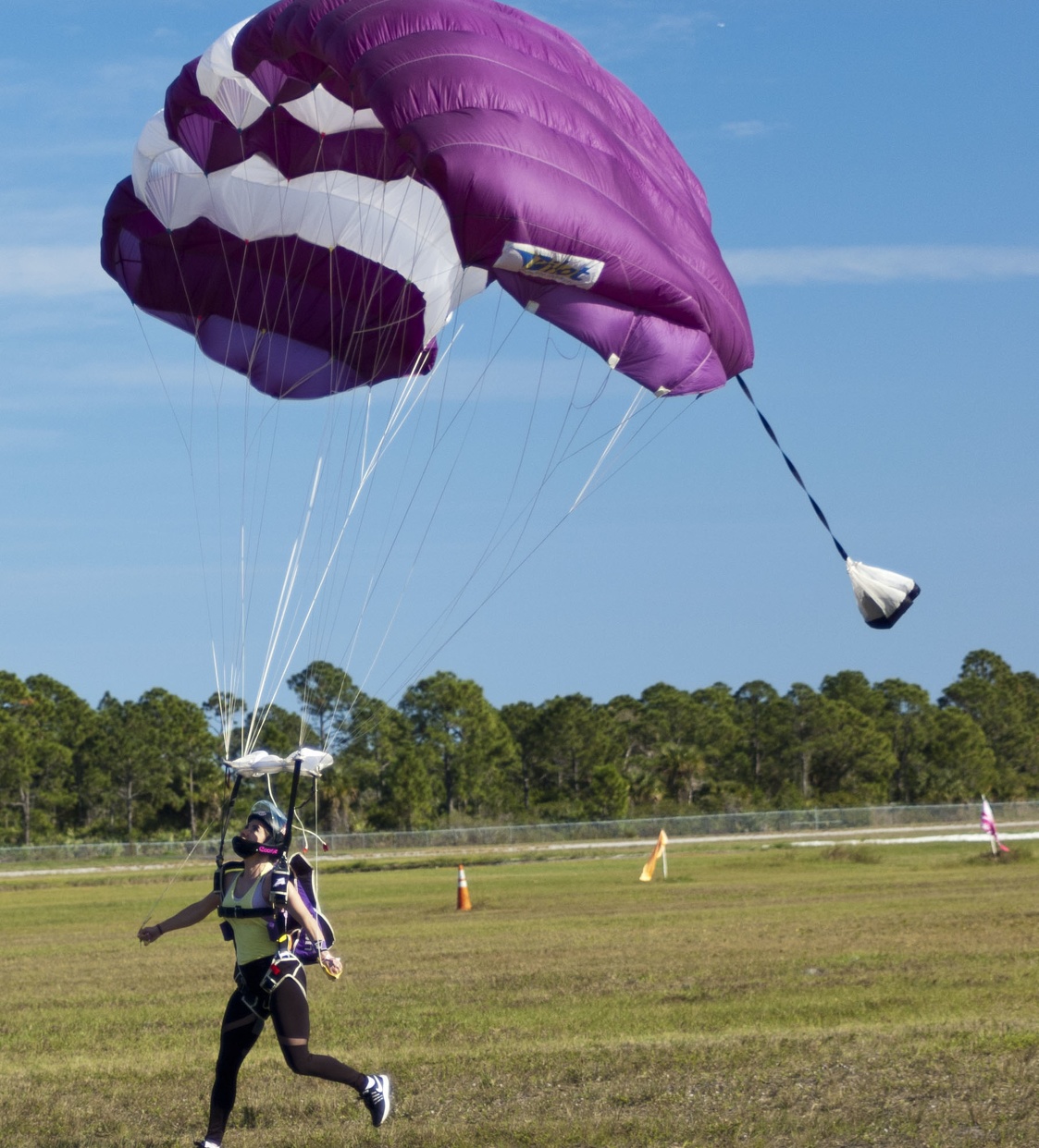 Purple Canopy