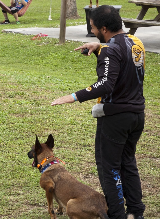 20191230_135218_Sebastian_Skydive_K9_Training_Andres_Melo.jpg