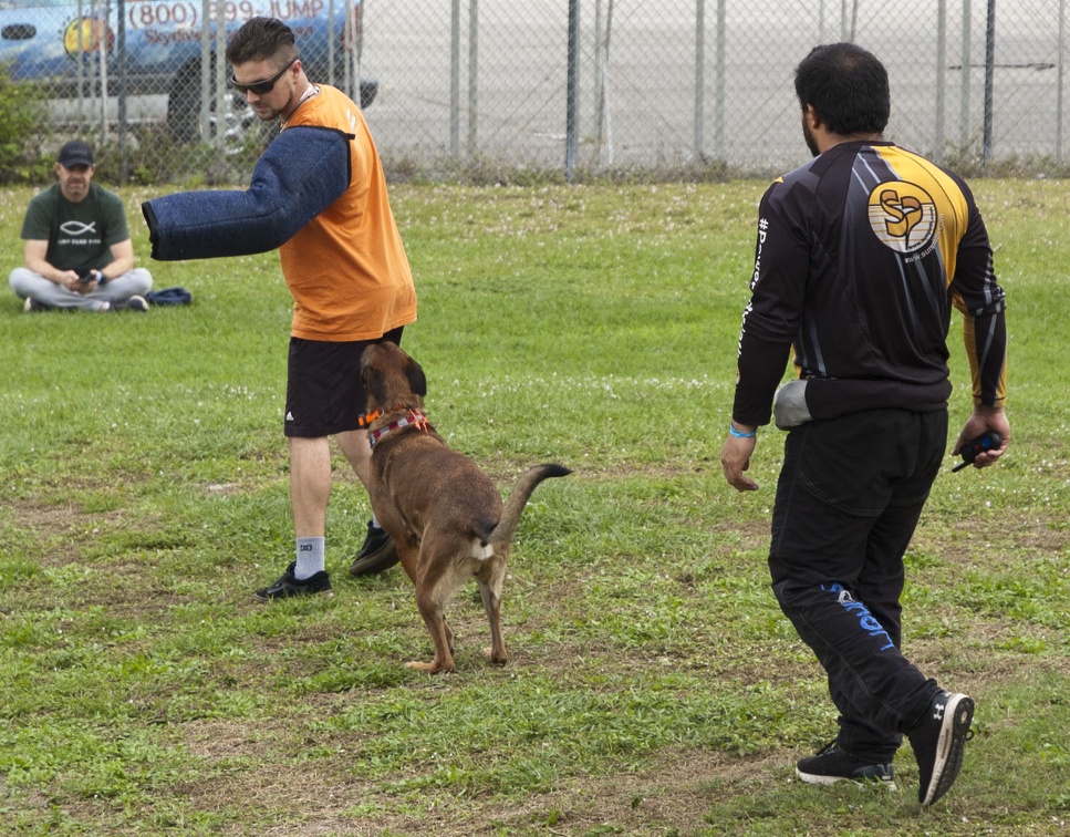 20191230_135228_Sebastian_Skydive_K9_Training_Andres_Melo.jpg