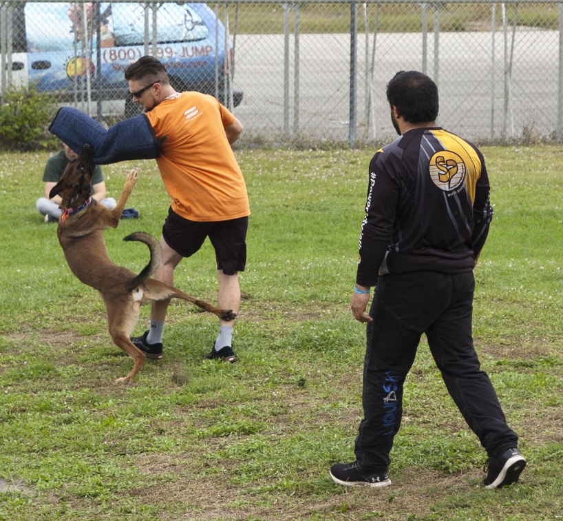 20191230 135230 Sebastian Skydive K9 Training Andres Melo