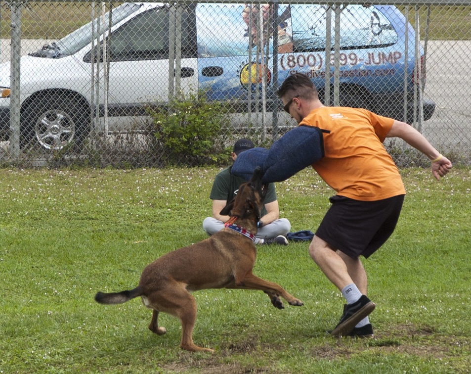 20191230_135232_Sebastian_Skydive_K9_Training_Andres_Melo.jpg