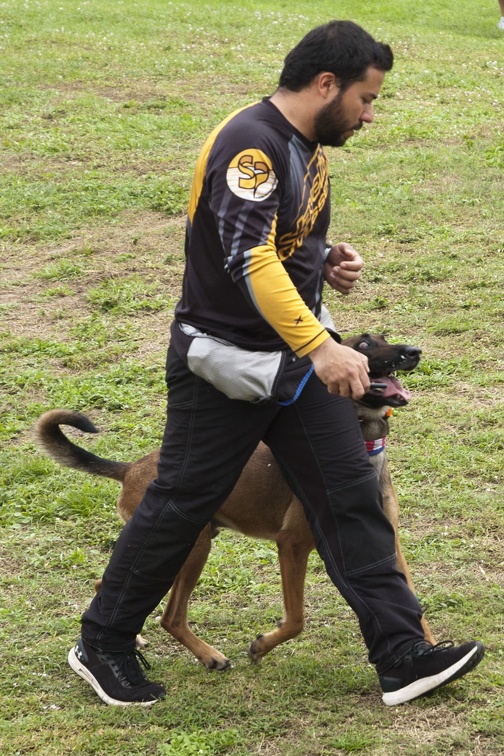 20191230_135314_Sebastian_Skydive_K9_Training_Andres_Melo.jpg