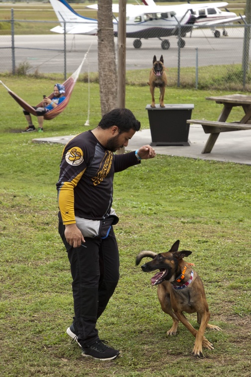 20191230 135320 Sebastian Skydive K9 Training Andres Melo