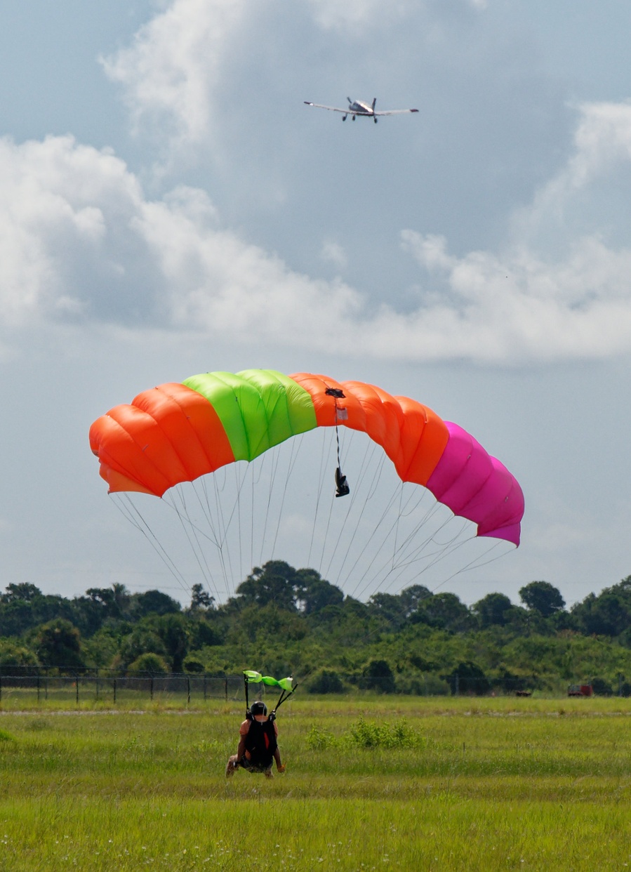 Lime, Purple & Orange Canopy