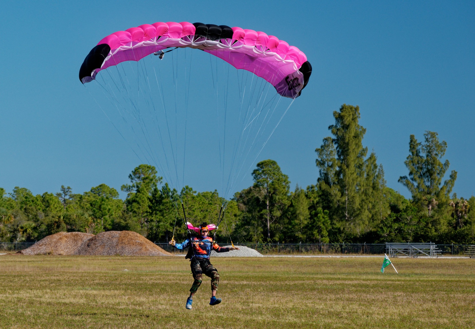 Pink Canopy