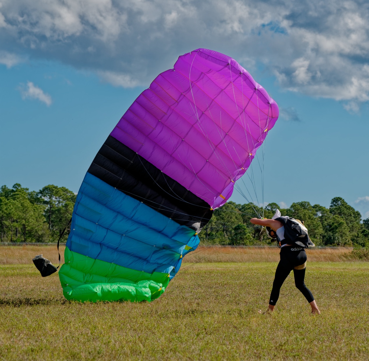 Green, Blue & Purple Canopy