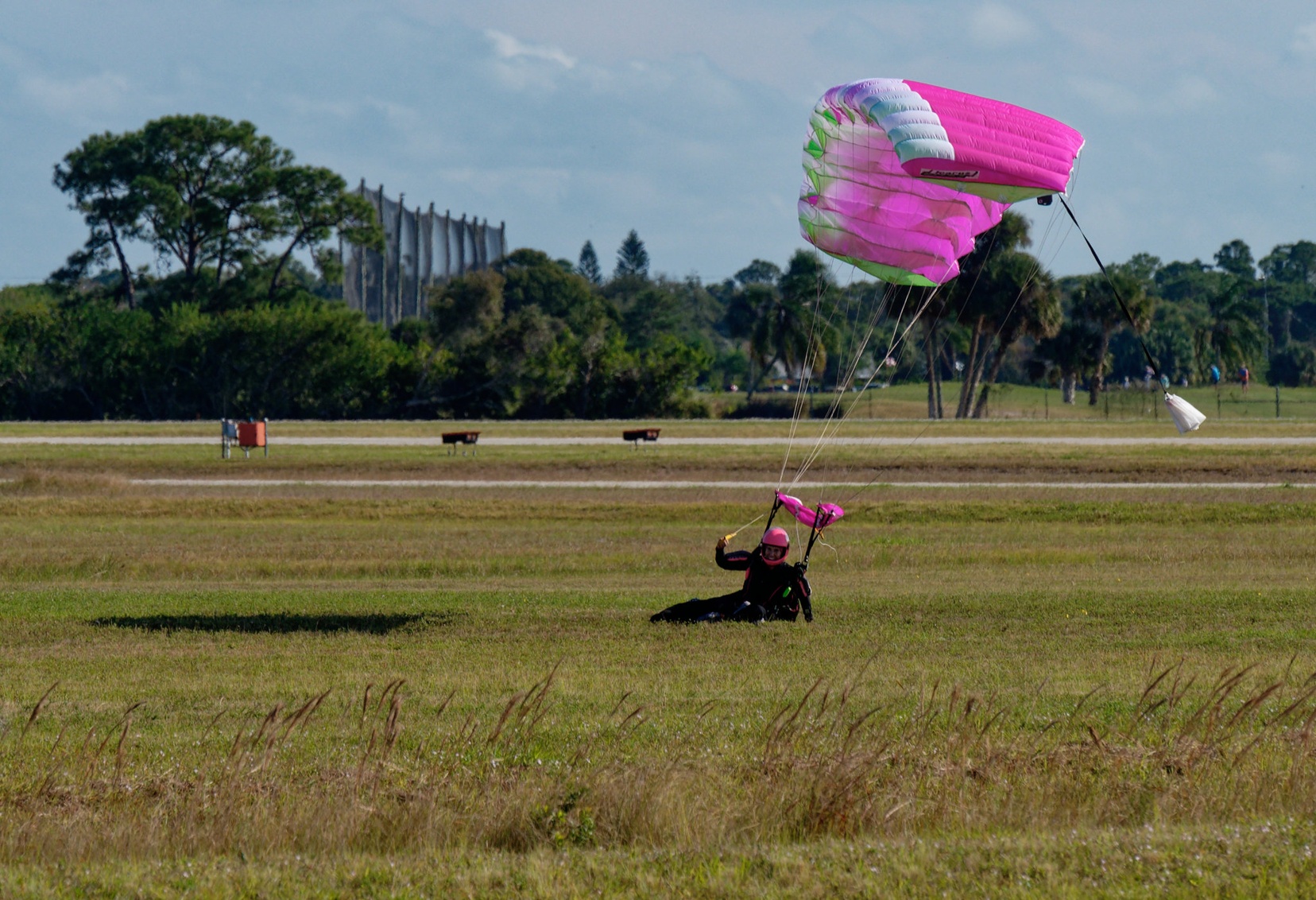 Pink Canopy