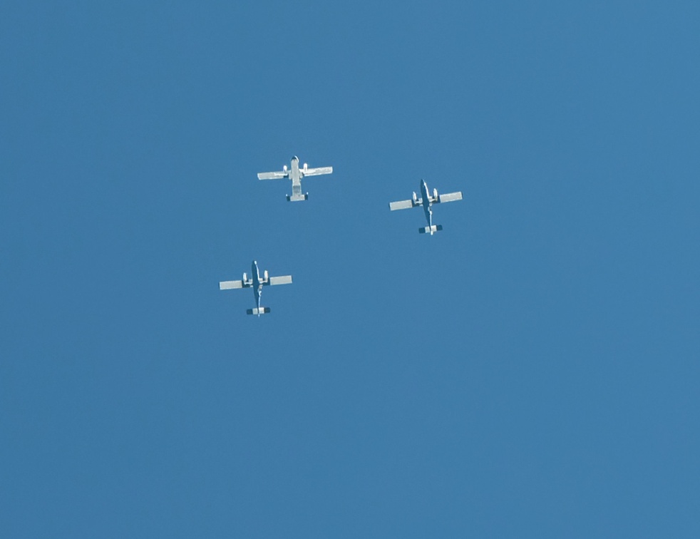 20220107_115912_Sebastian_Skydive_FL_HeadDown_Record_Planes_Otters_Skyvan.jpg