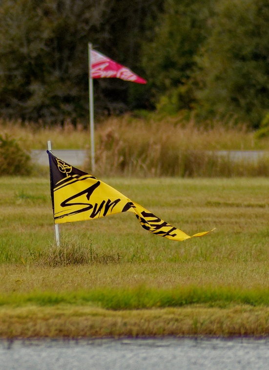 20201204 132922 Sebastian Skydive FLCPA Meet2 Flags