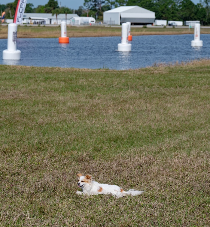 20220311 093034 Sebastian Skydive FLCPA2022Meet1 MiniBartholomew